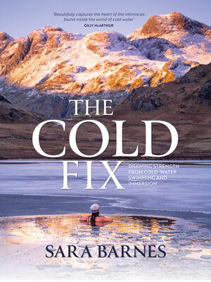 The Cold Fix - ebook
